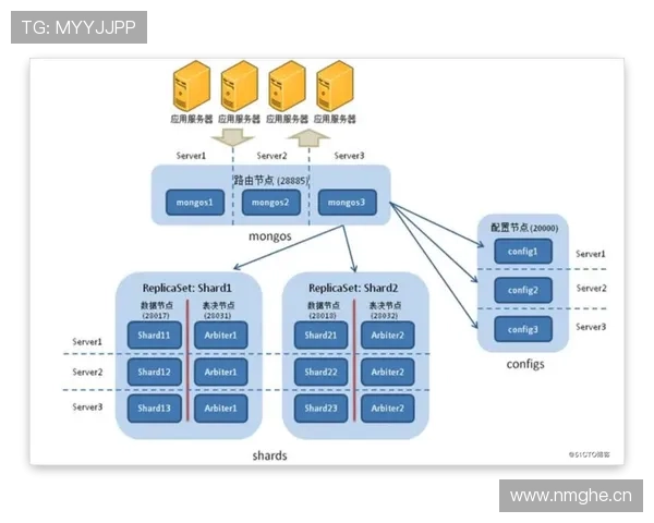 恩佐进攻与组织能力数据解析