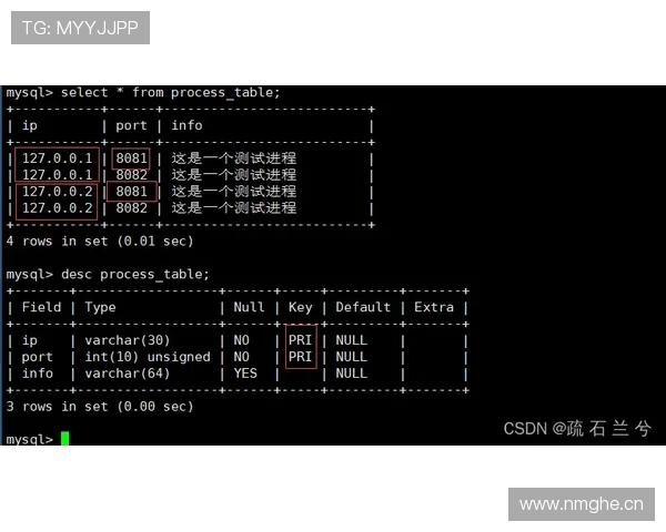 帕尔默竞争主力阵容的关键点与战术适配性分析